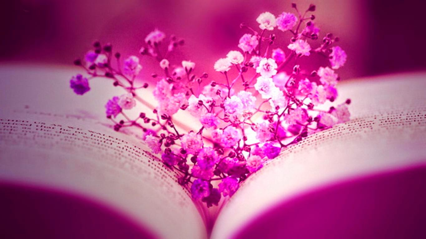 hermosos fondos de pantalla para fb,rosado,púrpura,violeta,lila,corazón