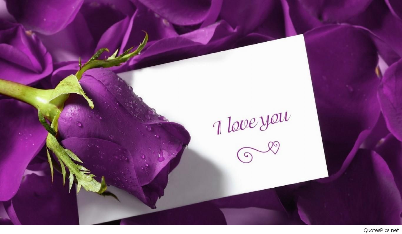 2016 love wallpaper,purple,violet,petal,party supply,place card