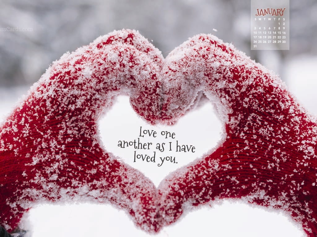 2016 amor fondo de pantalla,corazón,amor,texto,rojo,día de san valentín