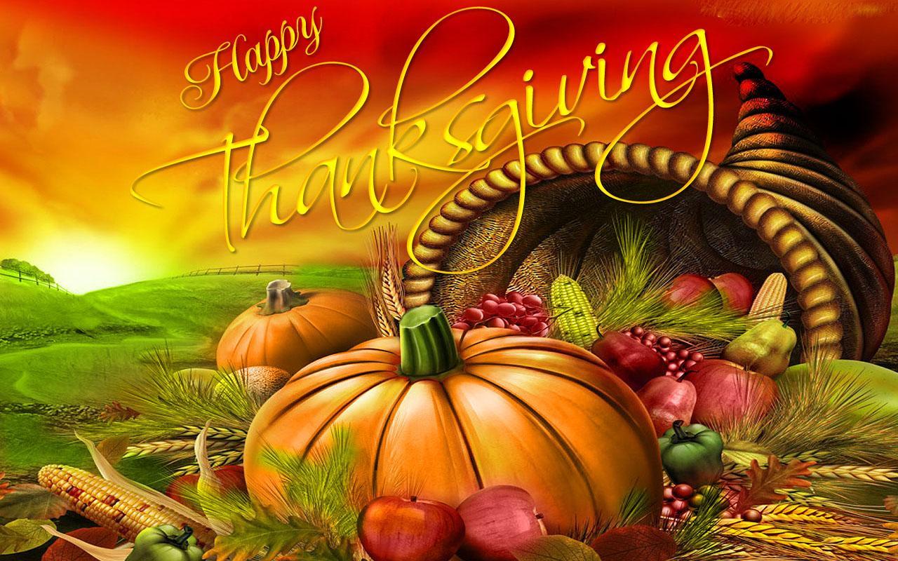 thanksgiving wallpapers for android,natural foods,pumpkin,thanksgiving,vegetable,gourd