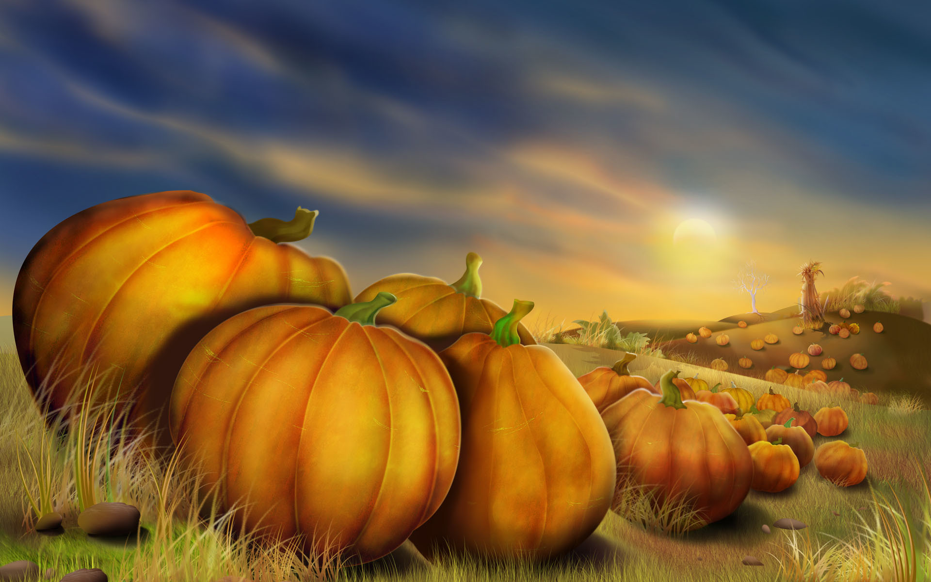 thanksgiving 3d wallpaper,calabaza,pumpkin,natural foods,winter squash,natural landscape