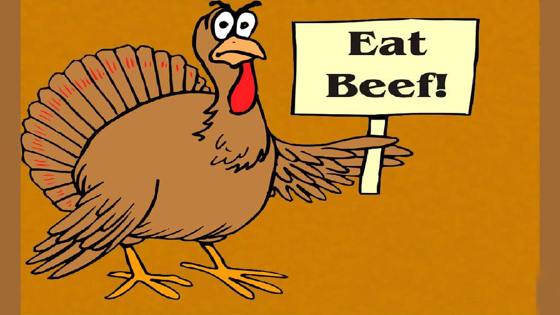 funny thanksgiving wallpaper,bird,turkey,beak,galliformes,flightless bird