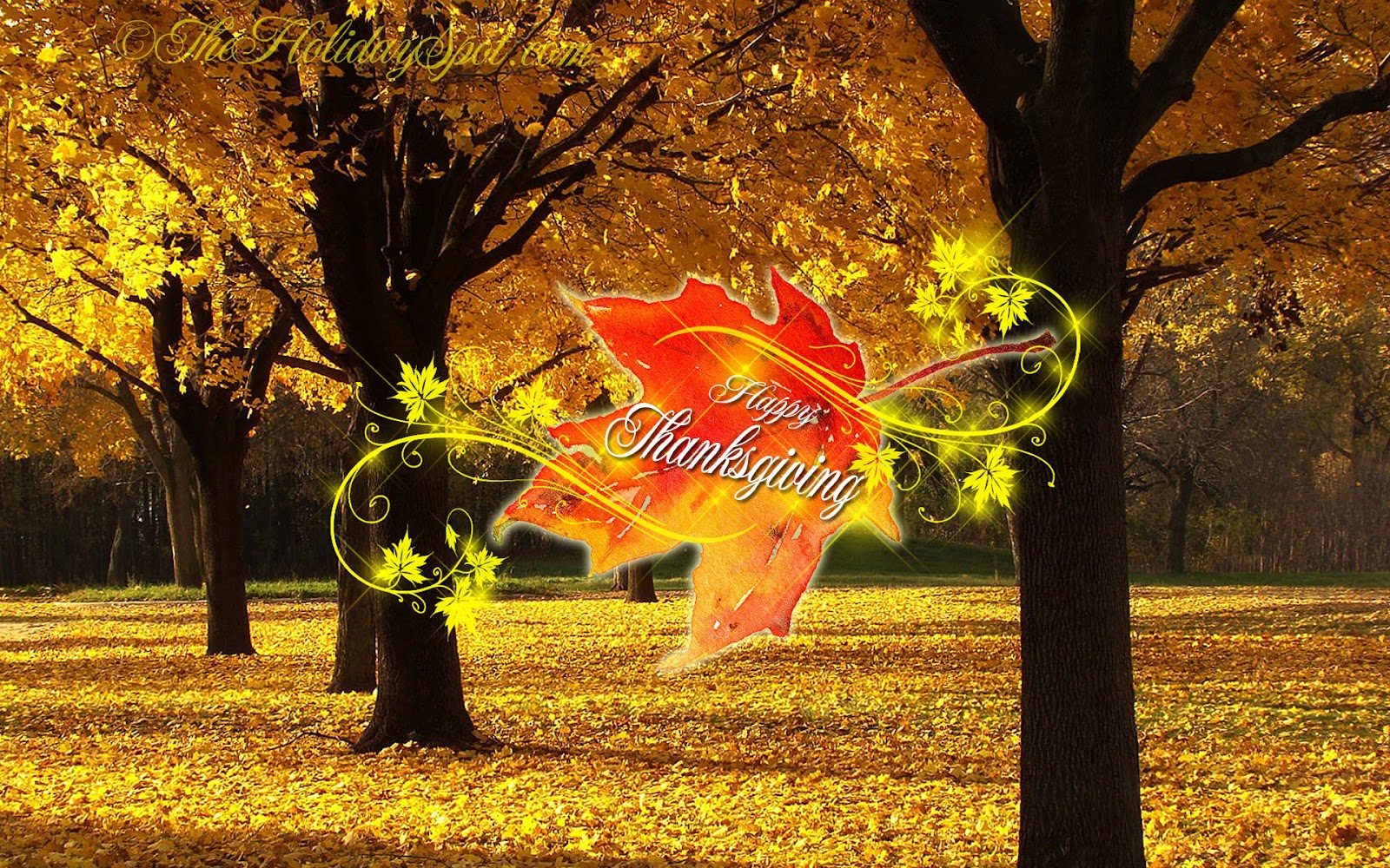 sfondo del computer del ringraziamento,albero,natura,foglia,giallo,autunno