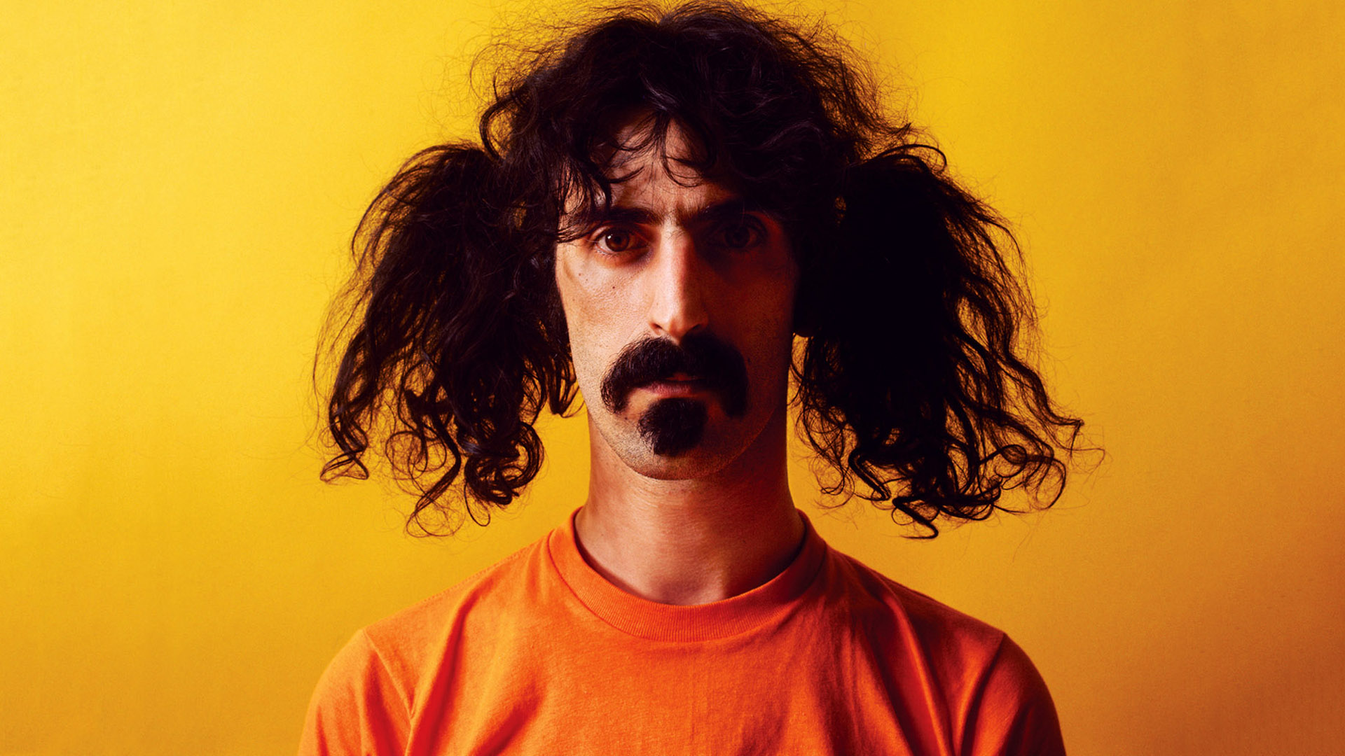 frank zappa wallpaper,hair,face,facial hair,facial expression,beard