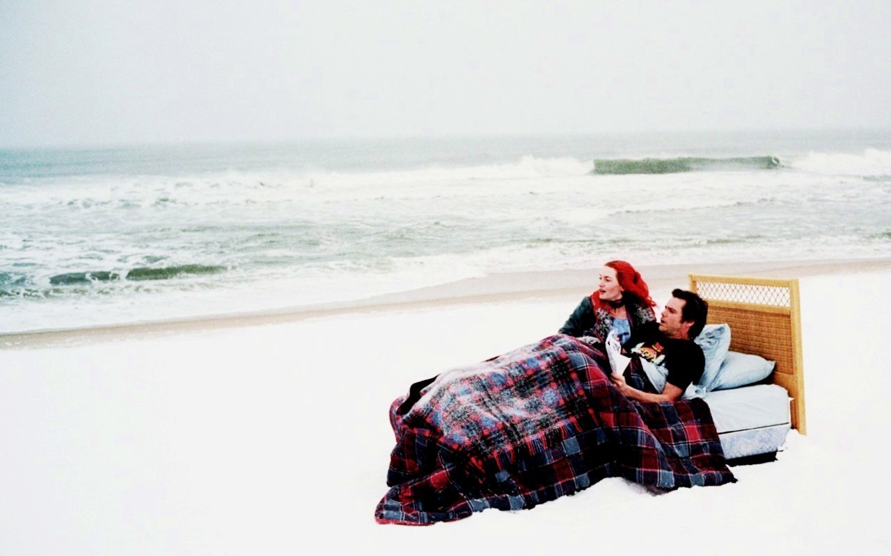 Joel & Clementine Eternal Sunshine Of The Spotless Mind You Can Erase