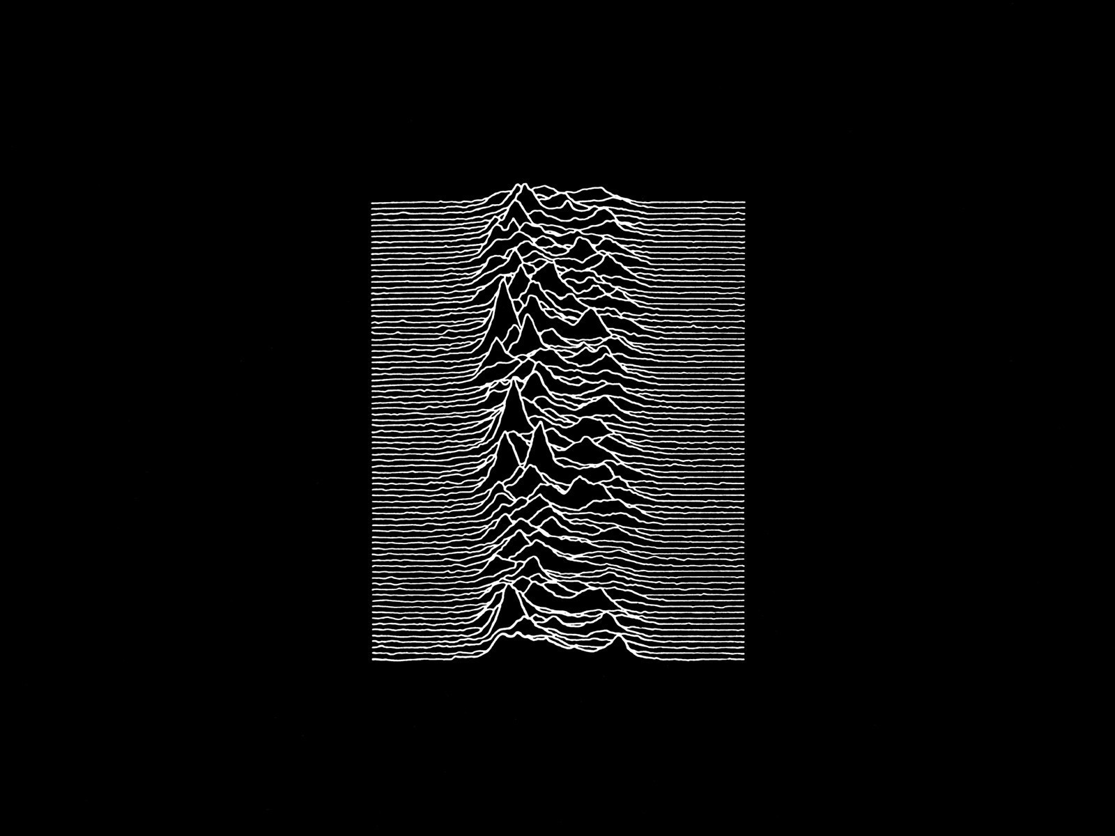 joy division fondo de pantalla,negro,fuente,modelo,hoja,en blanco y negro