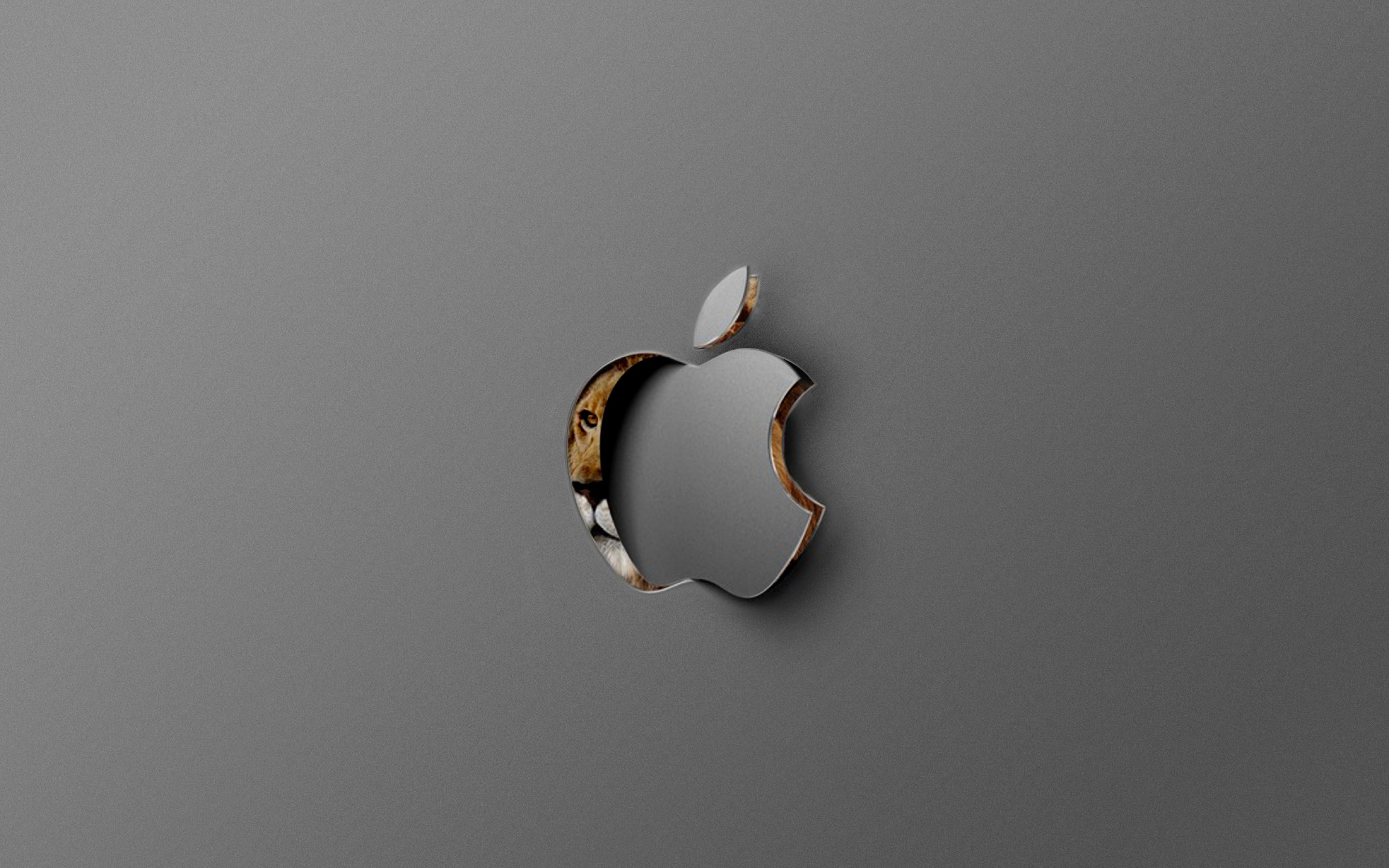 mac os x löwe wallpaper,metall,pflanze,grafik,stillleben fotografie