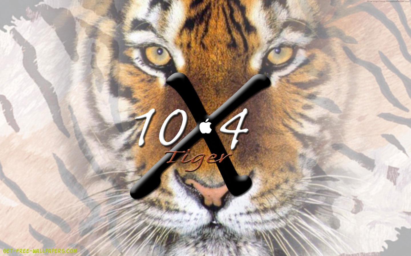 os x tiger wallpaper,tiger,bengal tiger,wildlife,whiskers,siberian tiger