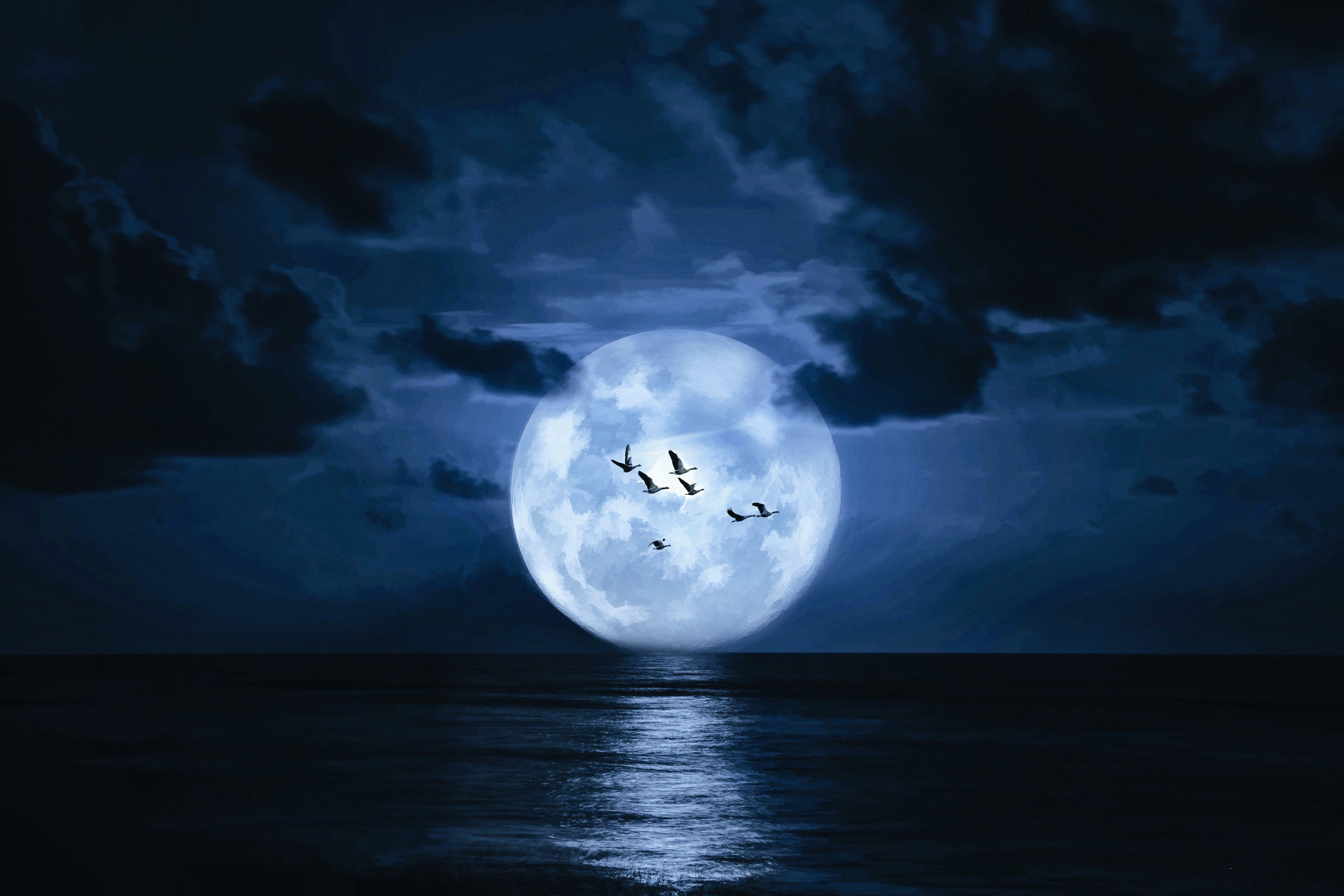 midnight wallpaper,sky,light,moonlight,moon,atmosphere