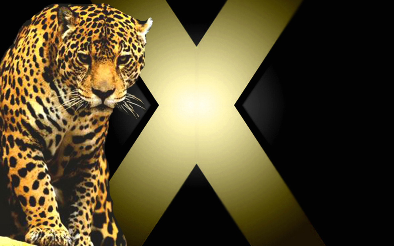 os x tiger wallpaper,terrestrial animal,wildlife,jaguar,felidae,leopard