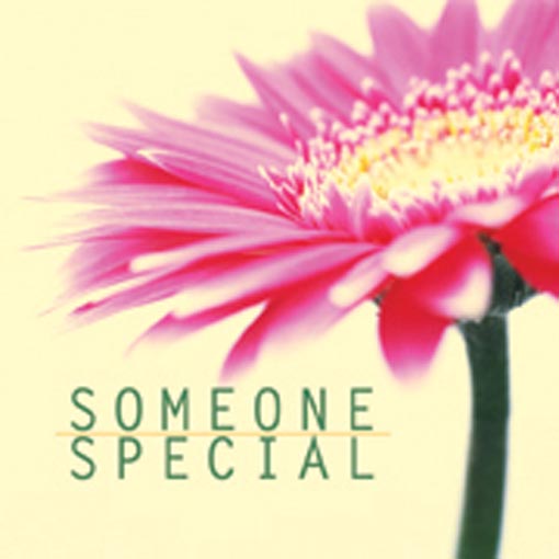 waiting for someone special wallpapers,flower,petal,pink,text,font