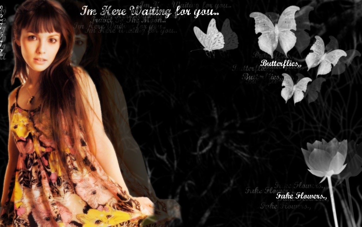 waiting for you wallpaper,butterfly,organism,font,photography,adaptation