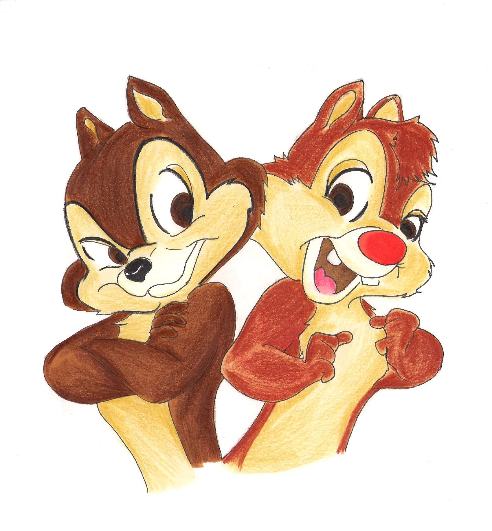 chip n dale wallpaper,animierter cartoon,karikatur,eichhörnchen,chipmunk,animation