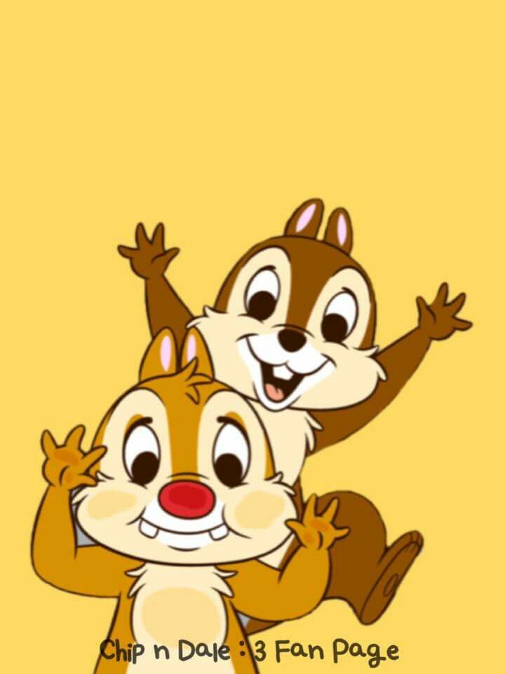 chip n dale wallpaper,cartoon,animated cartoon,illustration,squirrel