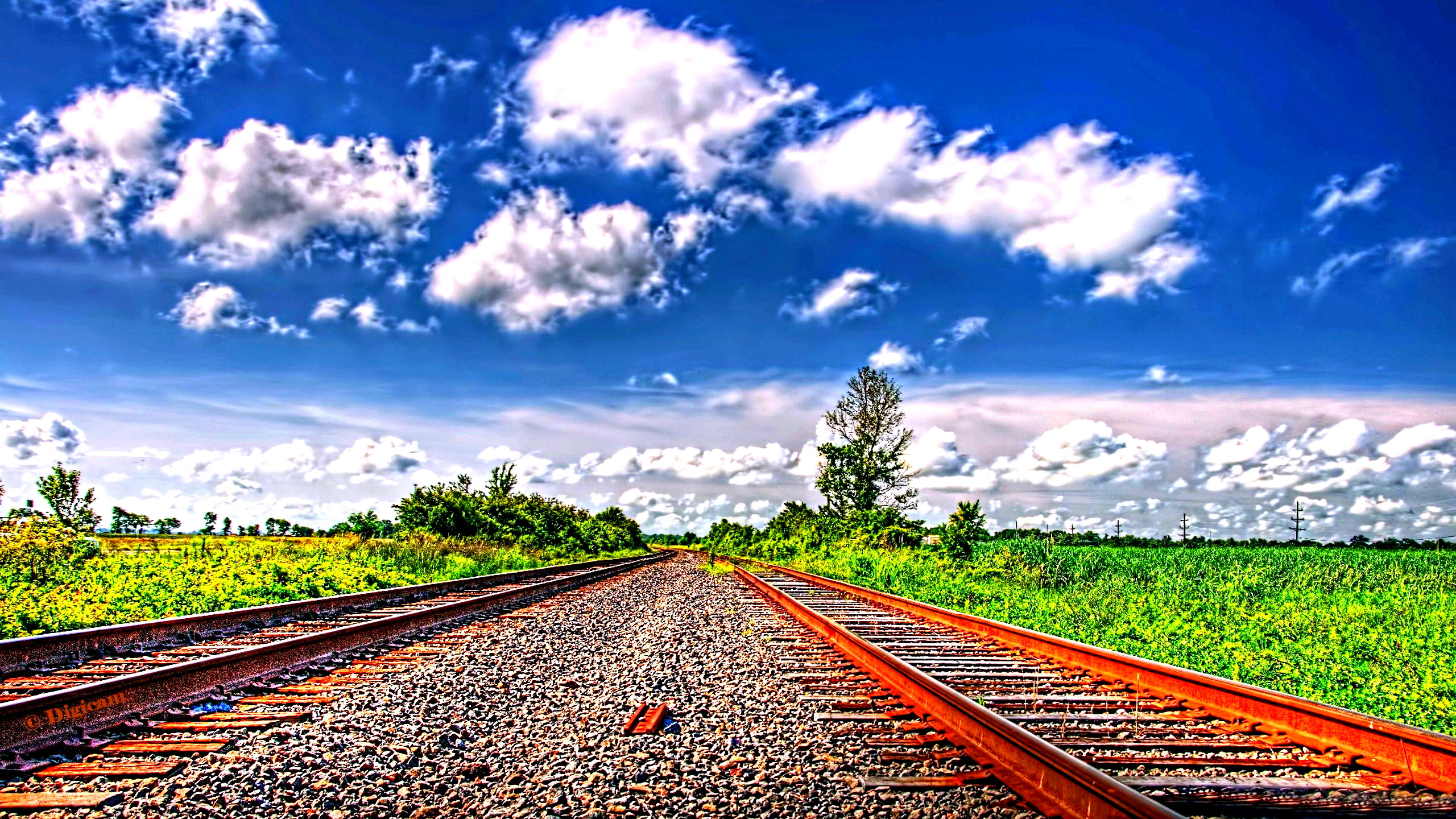 1440 x 2560 4k wallpaper,track,sky,transport,nature,natural landscape