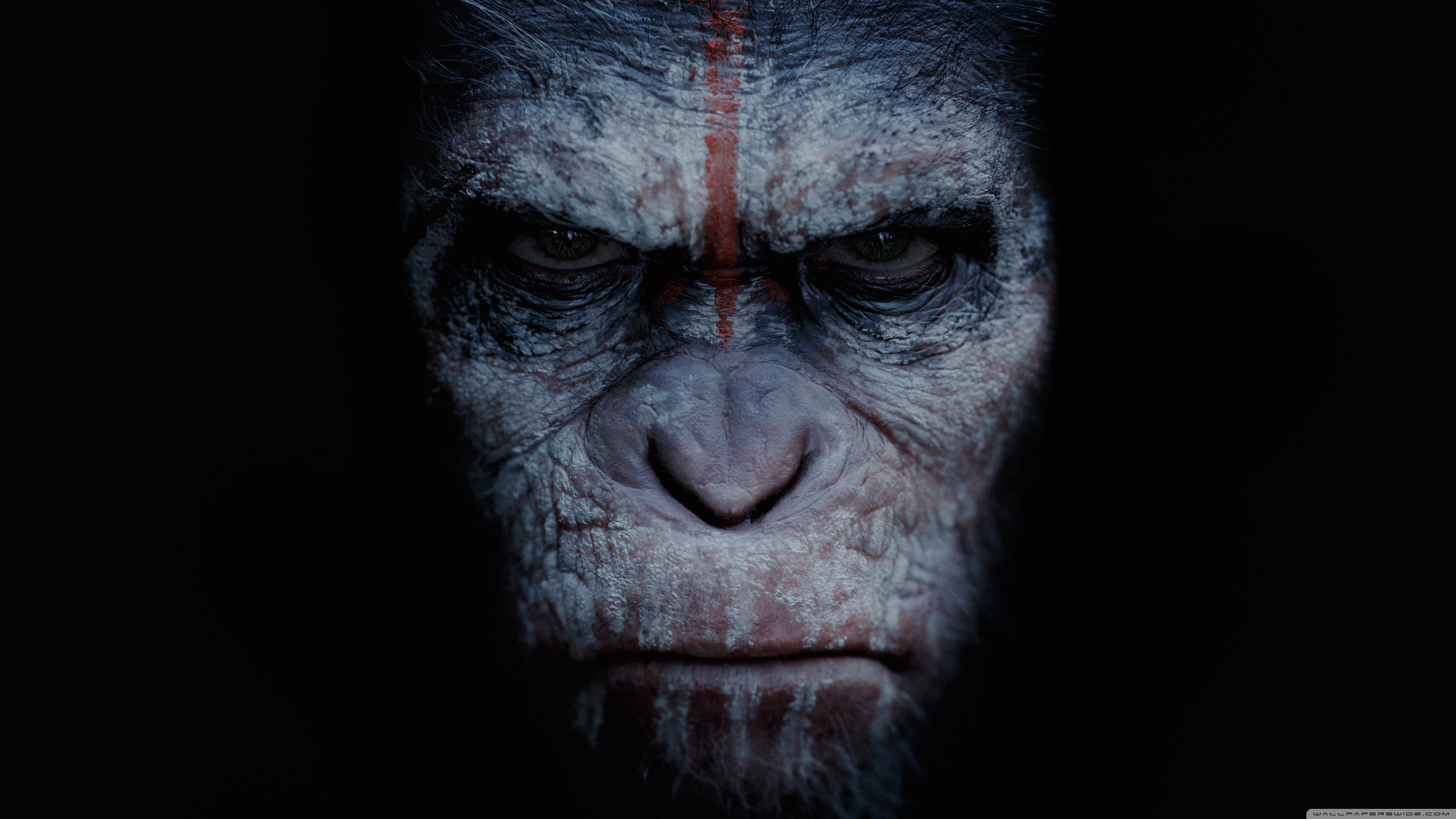 mac wallpaper for iphone,wrinkle,skin,snout,primate,human