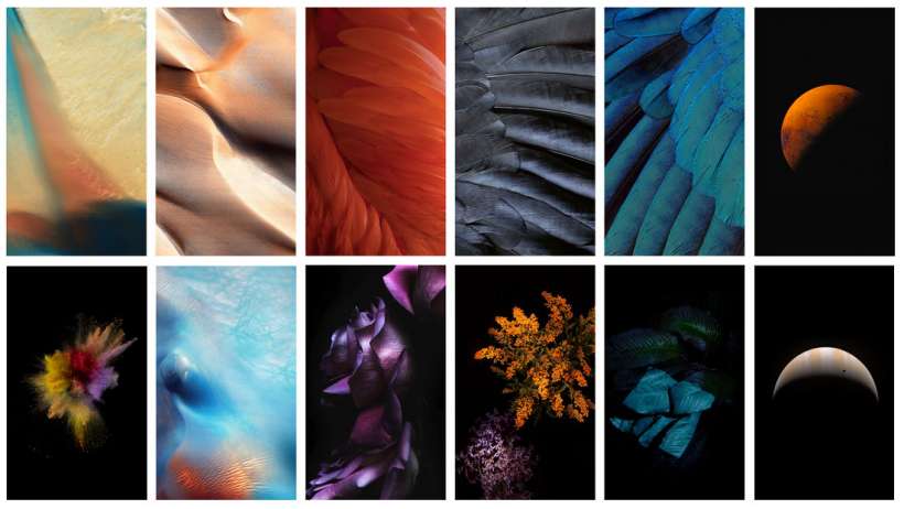 ios 9 배경 화면 다운로드,터키 옥,보라색,물오리,제비꽃,화려 함
