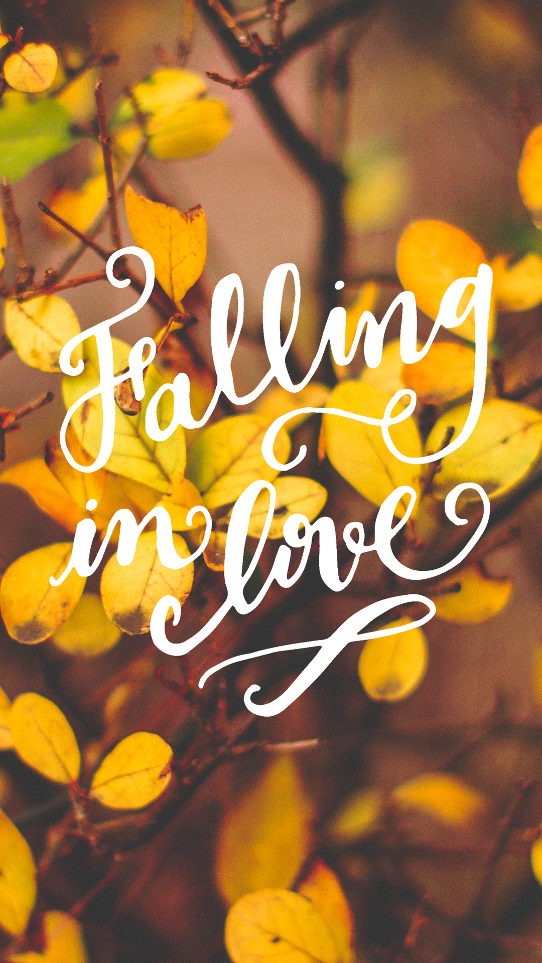 fall in love wallpaper,font,yellow,text,leaf,tree