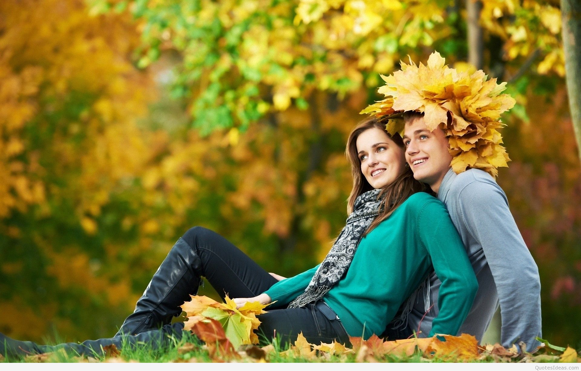 enamorarse fondo de pantalla,fotografía,naturaleza,amarillo,otoño,paisaje natural