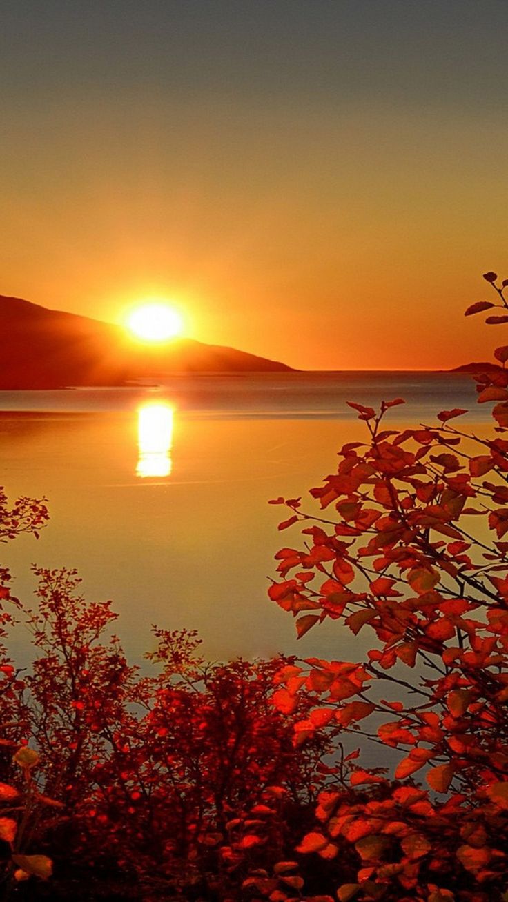 fall in love wallpaper,nature,natural landscape,sky,sunrise,red