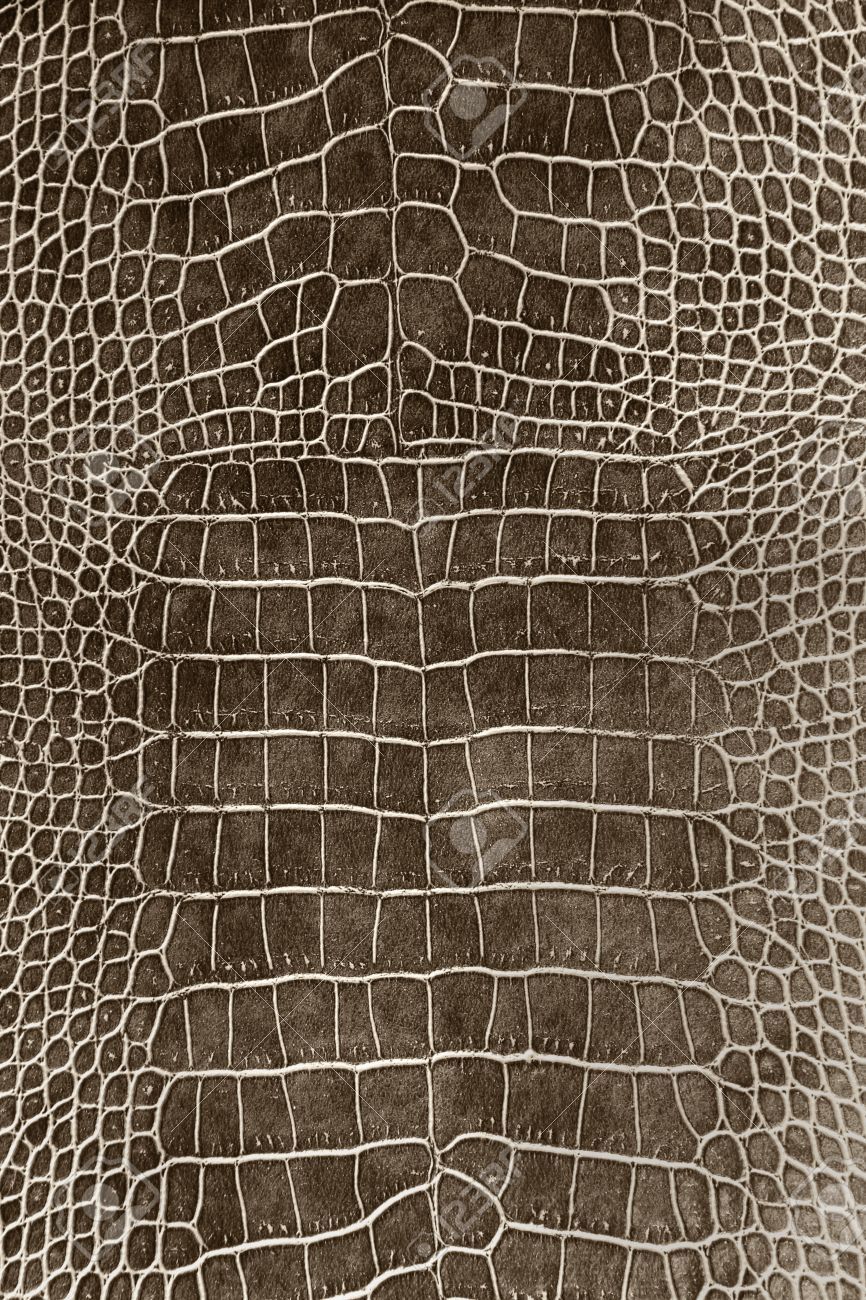 crocodile skin wallpaper,close up,net,pattern,organism,mesh