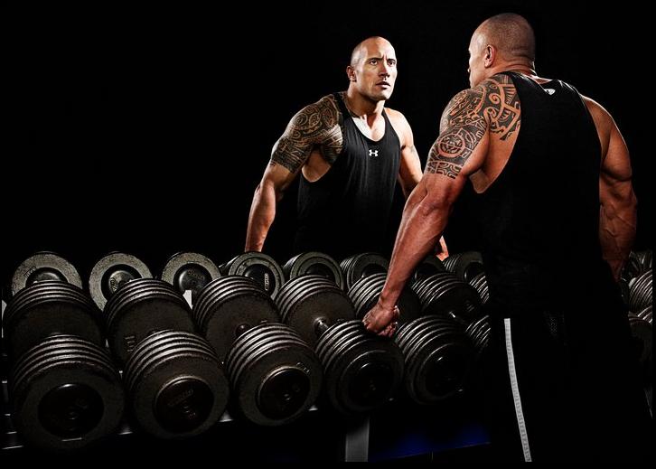 dwayne johnson hd wallpapers,physical fitness,weight training,muscle,exercise,room