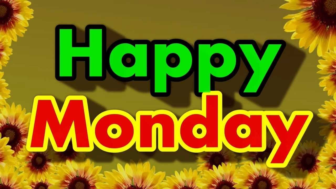 monday wallpaper,yellow,sunflower,flower,text,font