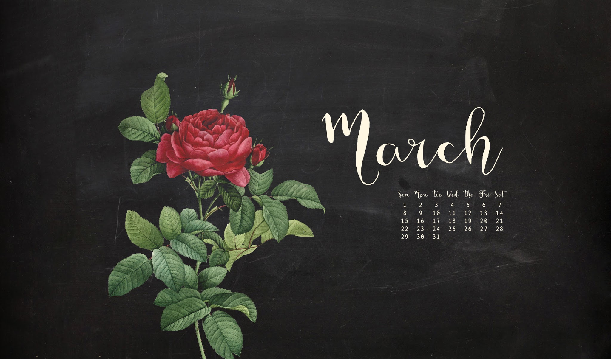 3月のデスクトップの壁紙,庭のバラ,フォント,テキスト,黒板,花