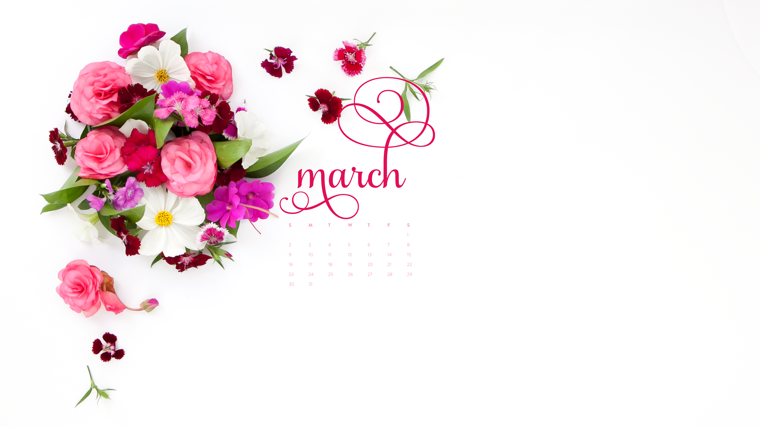 marzo sfondo del desktop,rosa,fiore,testo,font,tagliare i fiori