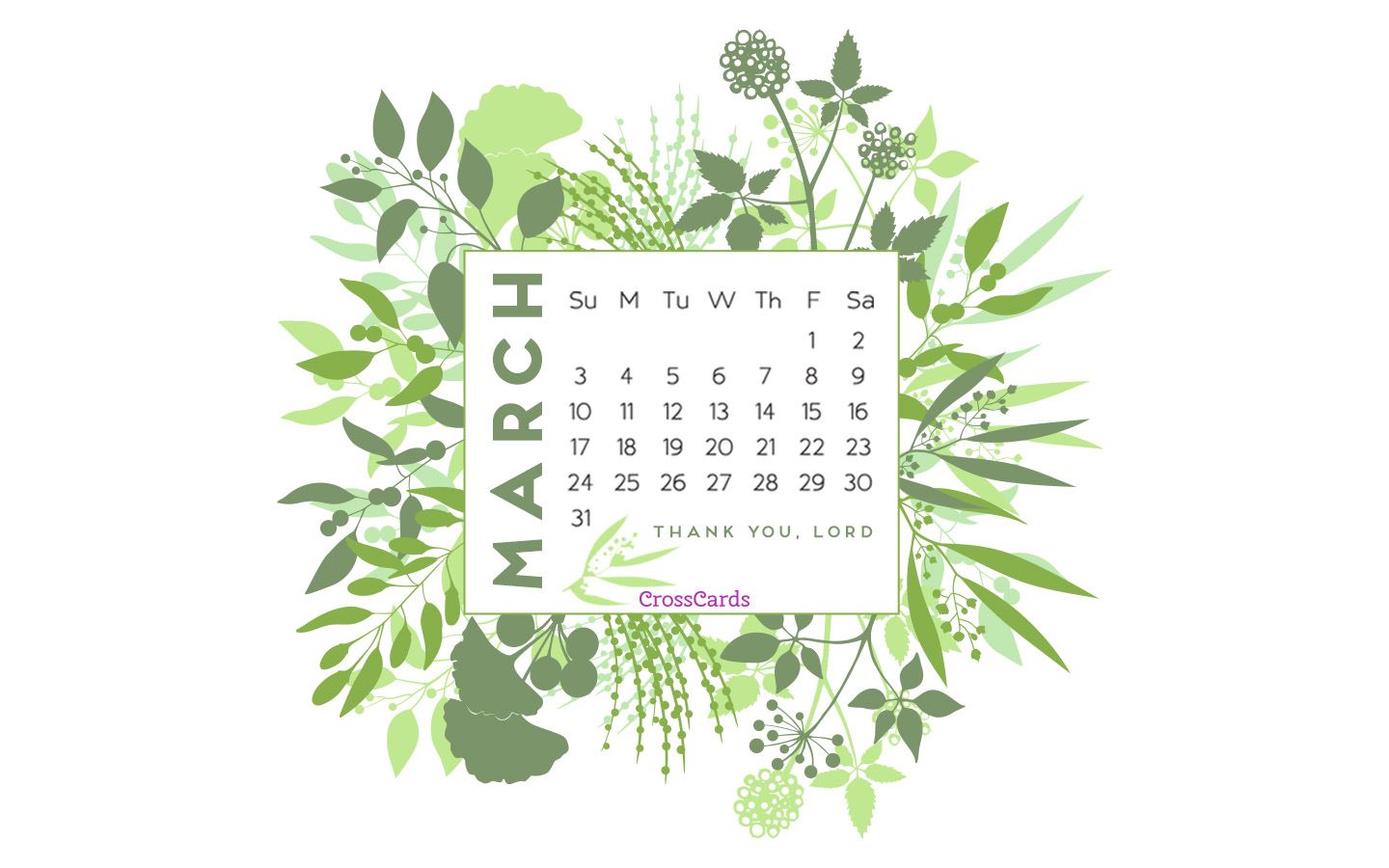 march desktop wallpaper,leaf,plant,flower,botany,grass