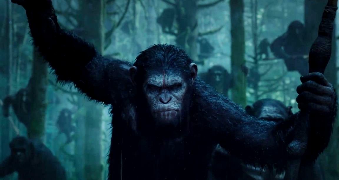 dawn of the planet of the apes wallpaper,primate,organism,common chimpanzee,snout,human