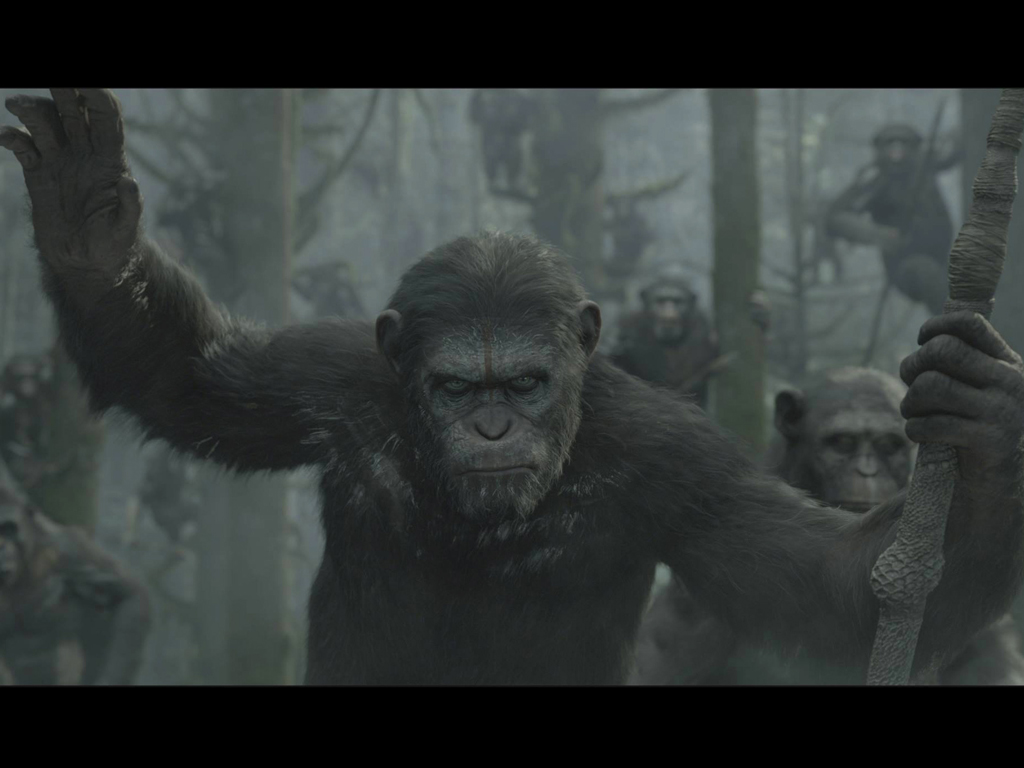 dawn of the planet of the apes wallpaper,primate,organism,human,snout,adaptation