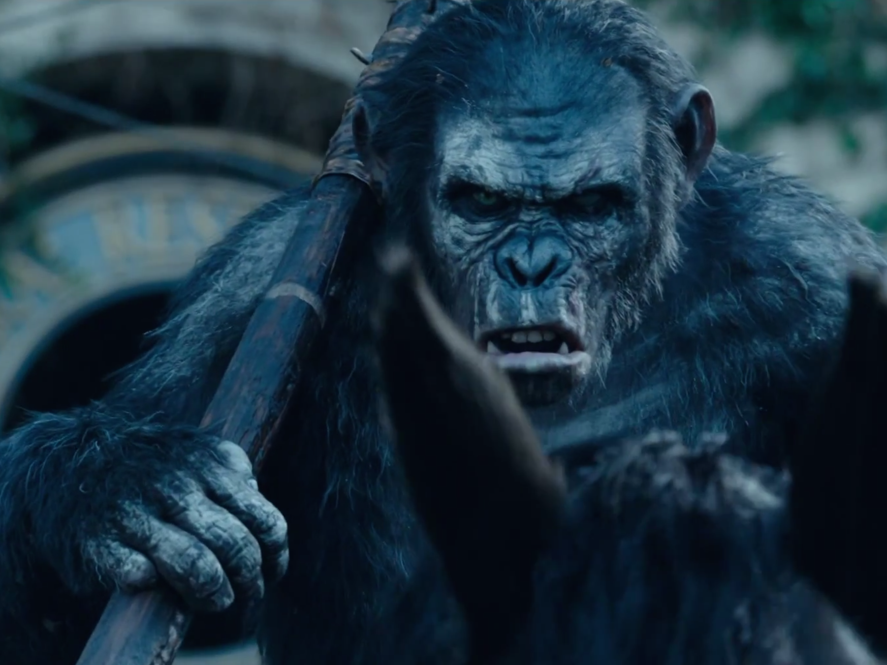 dawn of the planet of the apes wallpaper,human,primate,fictional character,common chimpanzee,movie