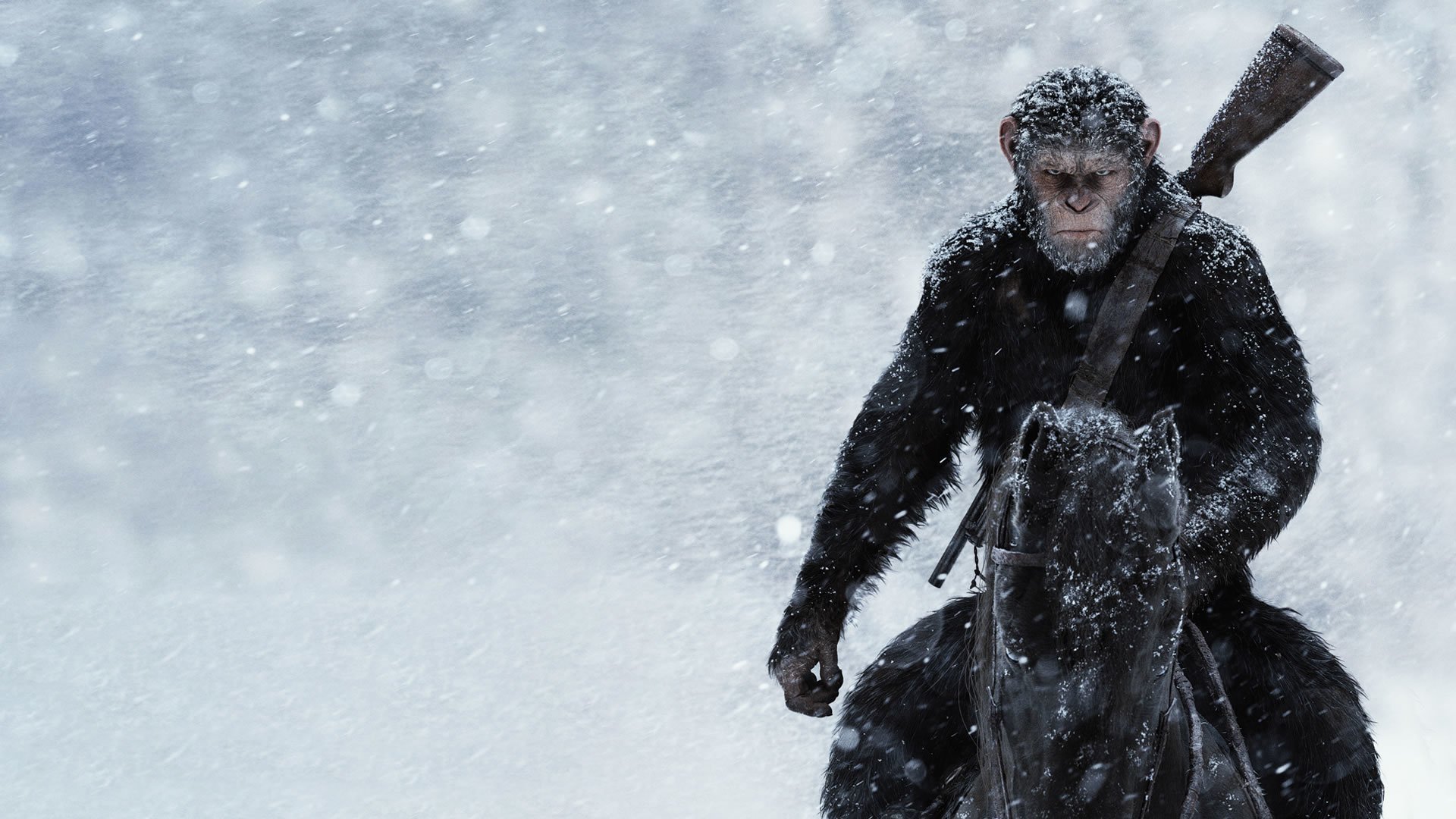 war for the planet of the apes wallpaper,snow,winter storm,blizzard,freezing,playing in the snow