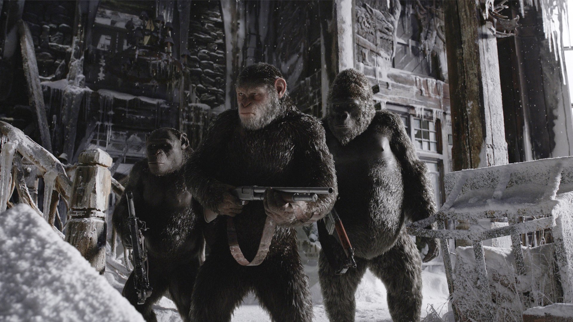 類人猿の惑星のための戦争壁紙,毛皮
