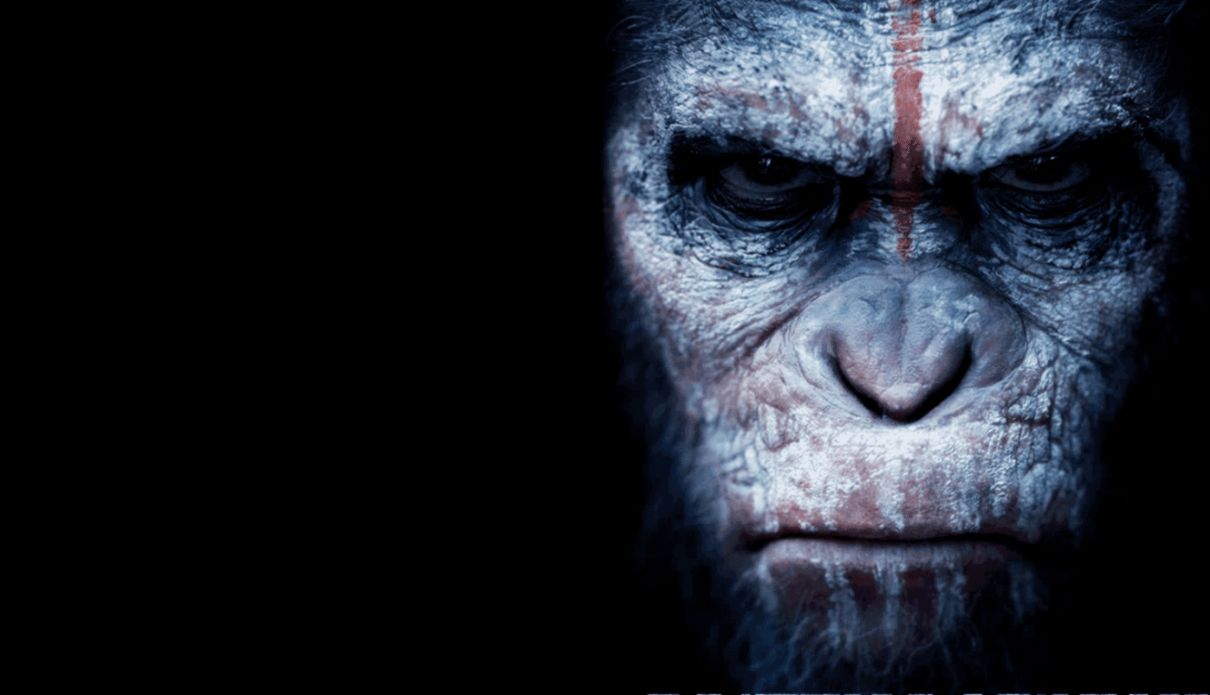 dawn of the planet of the apes wallpaper,skin,snout,primate,human,wrinkle