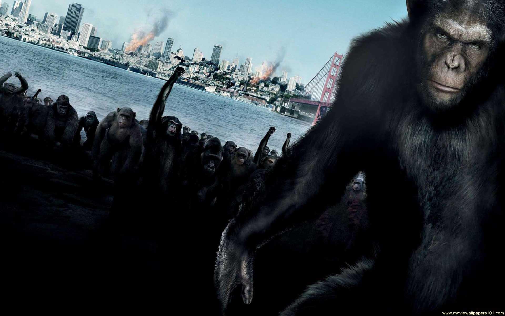 dawn of the planet of the apes wallpaper,human,primate,fictional character,screenshot,games