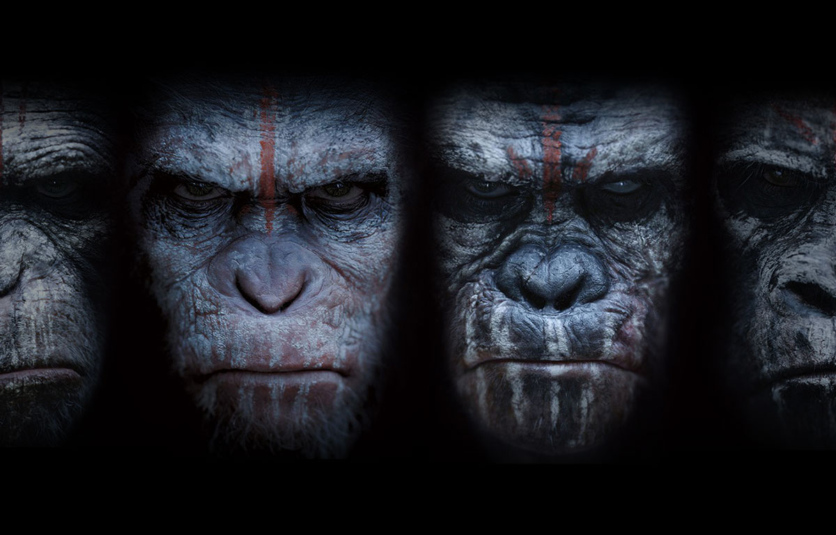 dawn of the planet of the apes wallpaper,face,head,human,primate,snout