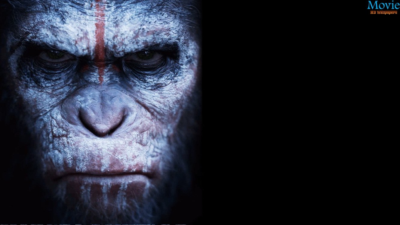 dawn of the planet of the apes wallpaper,skin,wrinkle,snout,human,primate