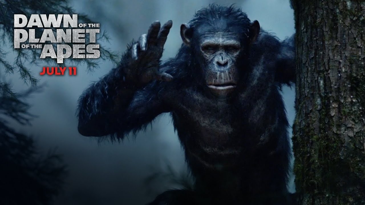 dawn of the planet of the apes wallpaper,primate,snout,terrestrial animal,common chimpanzee,organism