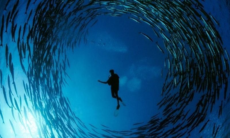 800x480 fondo de pantalla,agua,azul,ola,surf,oceano