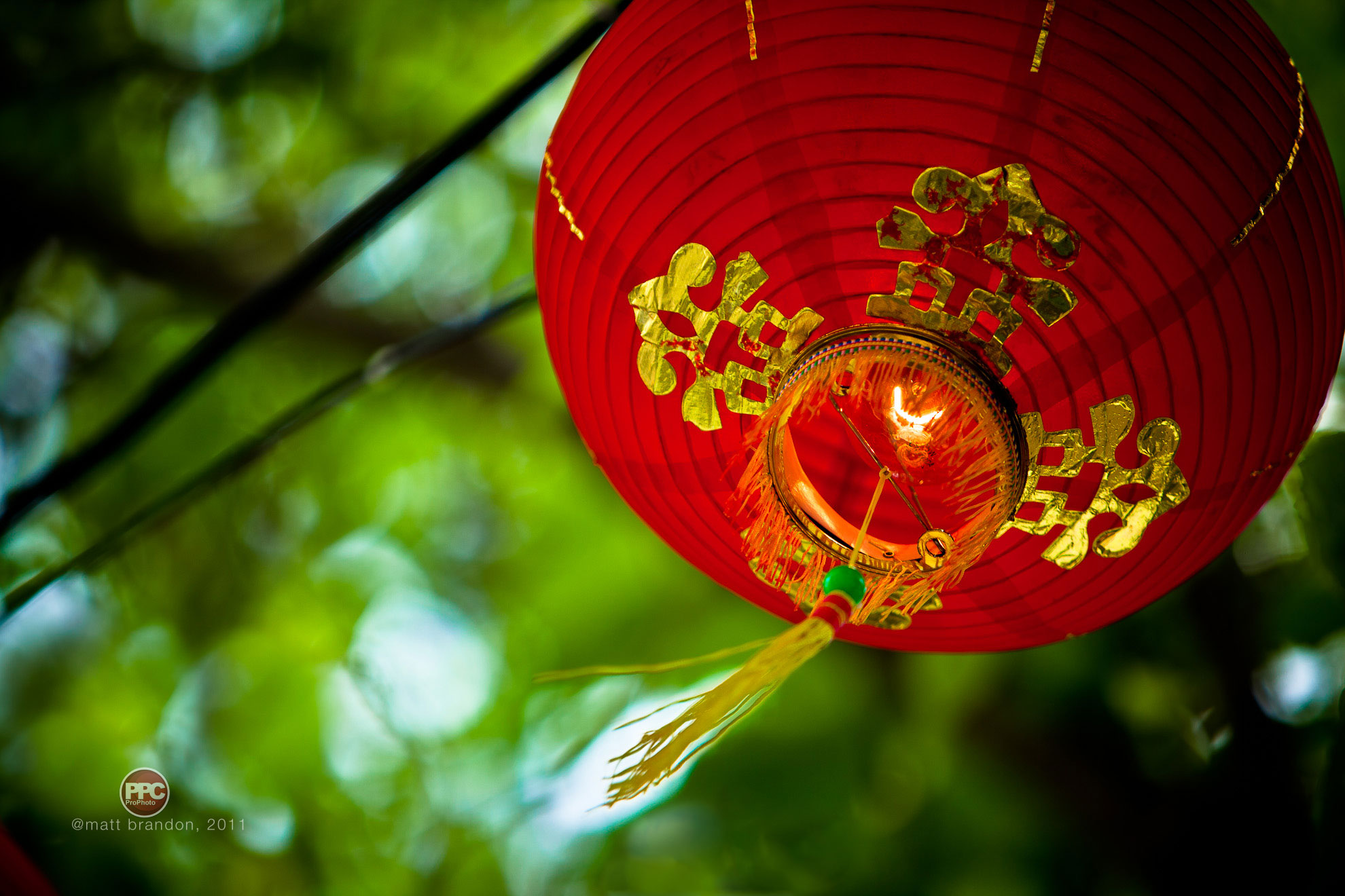 chinese new year wallpaper,red,lighting,lantern,plant,macro photography