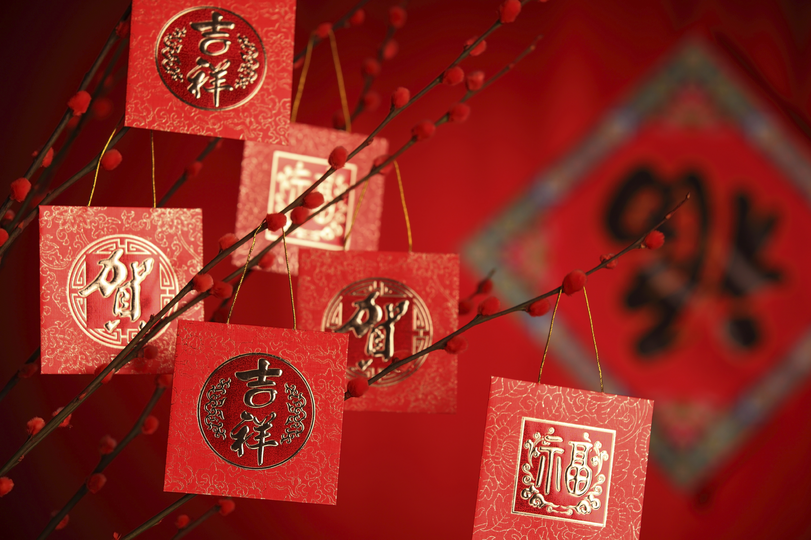 fond d'écran du nouvel an chinois,rouge,police de caractère,graphique
