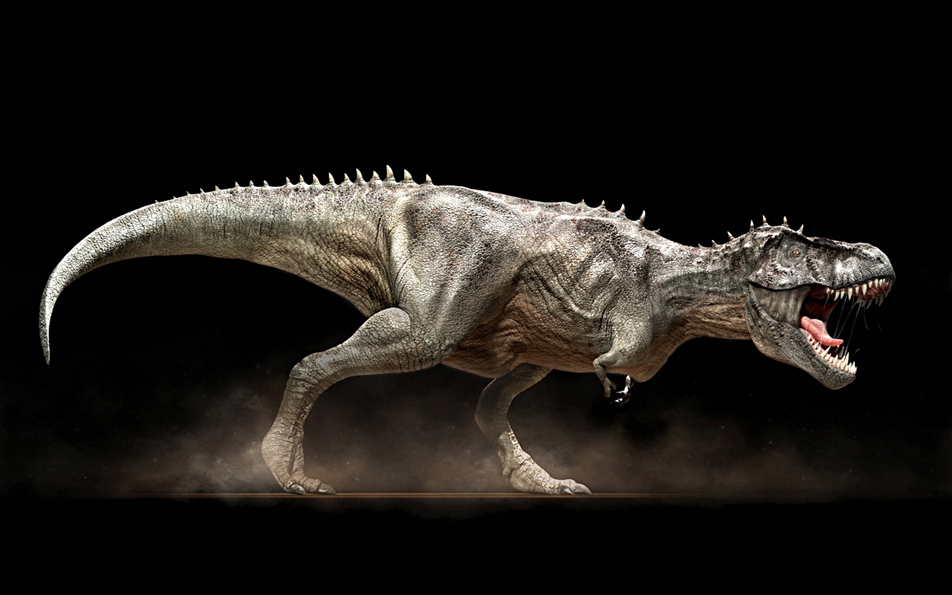 tレックス壁紙hd,恐竜,ティラノサウルス,あご,ヴェロキラプトル,動物の姿