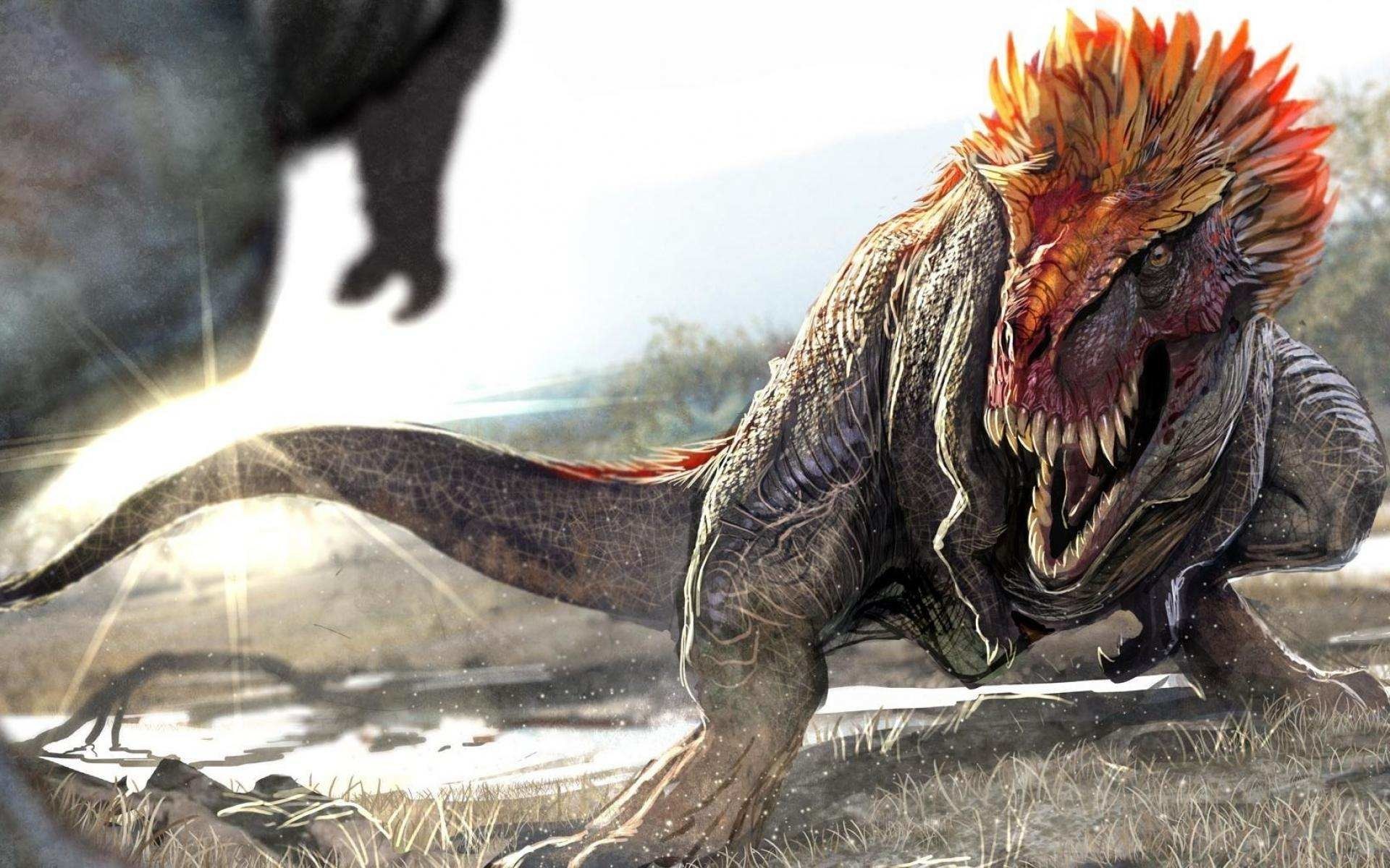 t rex wallpaper hd,dinosaur,tyrannosaurus,terrestrial animal,extinction,marine iguana