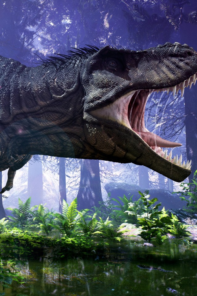 t rex fondo de pantalla hd,naturaleza,dinosaurio,tiranosaurio,animal terrestre,agua