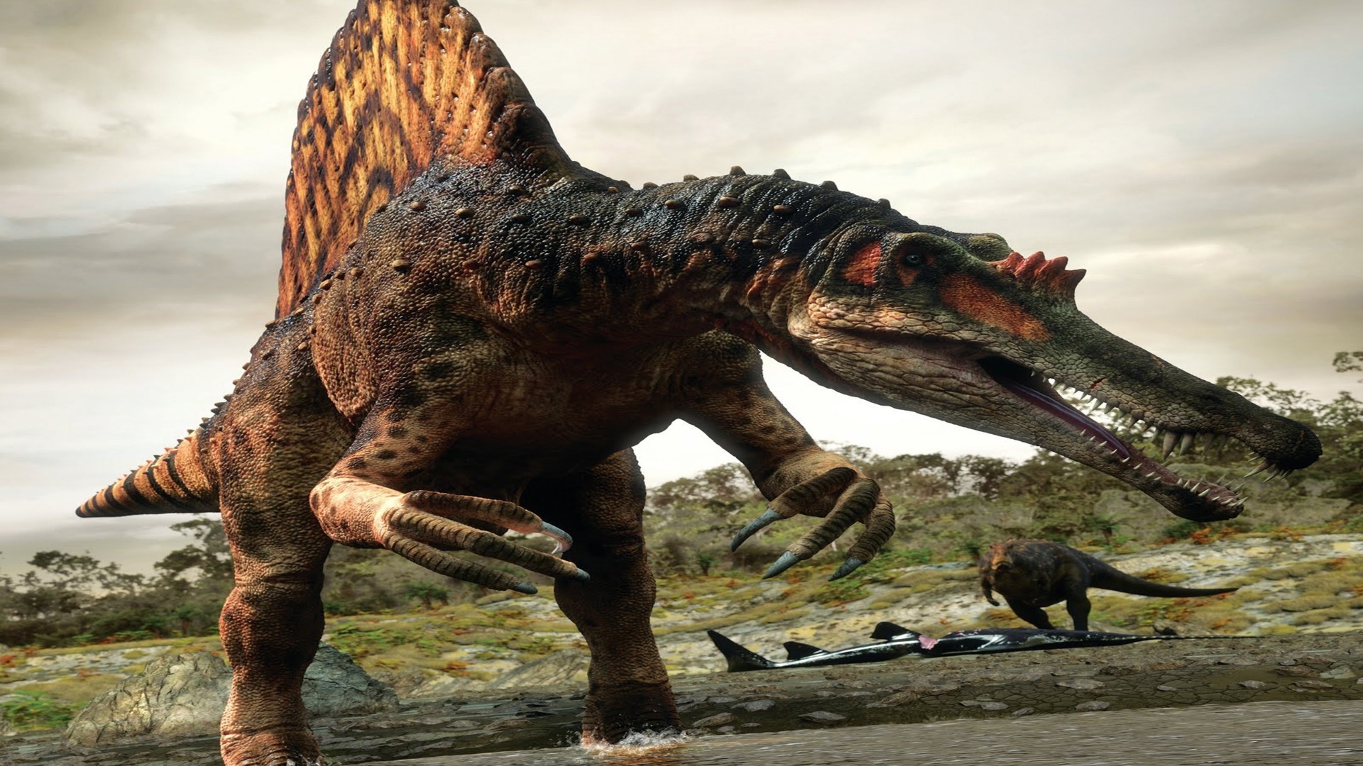 fondo de pantalla de spinosaurus,dinosaurio,tiranosaurio,velociraptor,animal terrestre,troodon