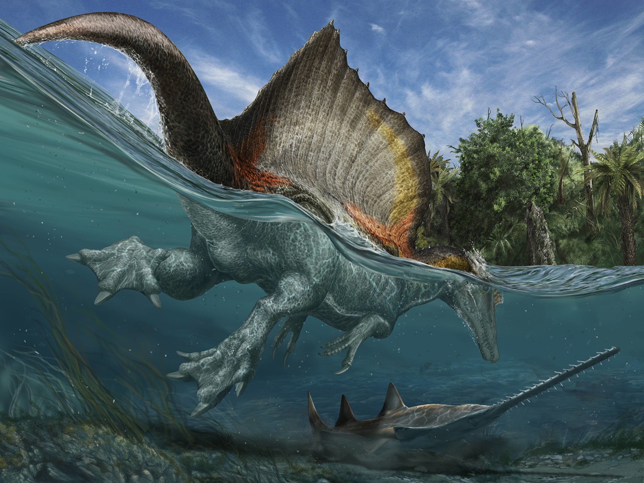 fond d'écran spinosaurus,dinosaure,dragon,oeuvre de cg,troodon,mythologie