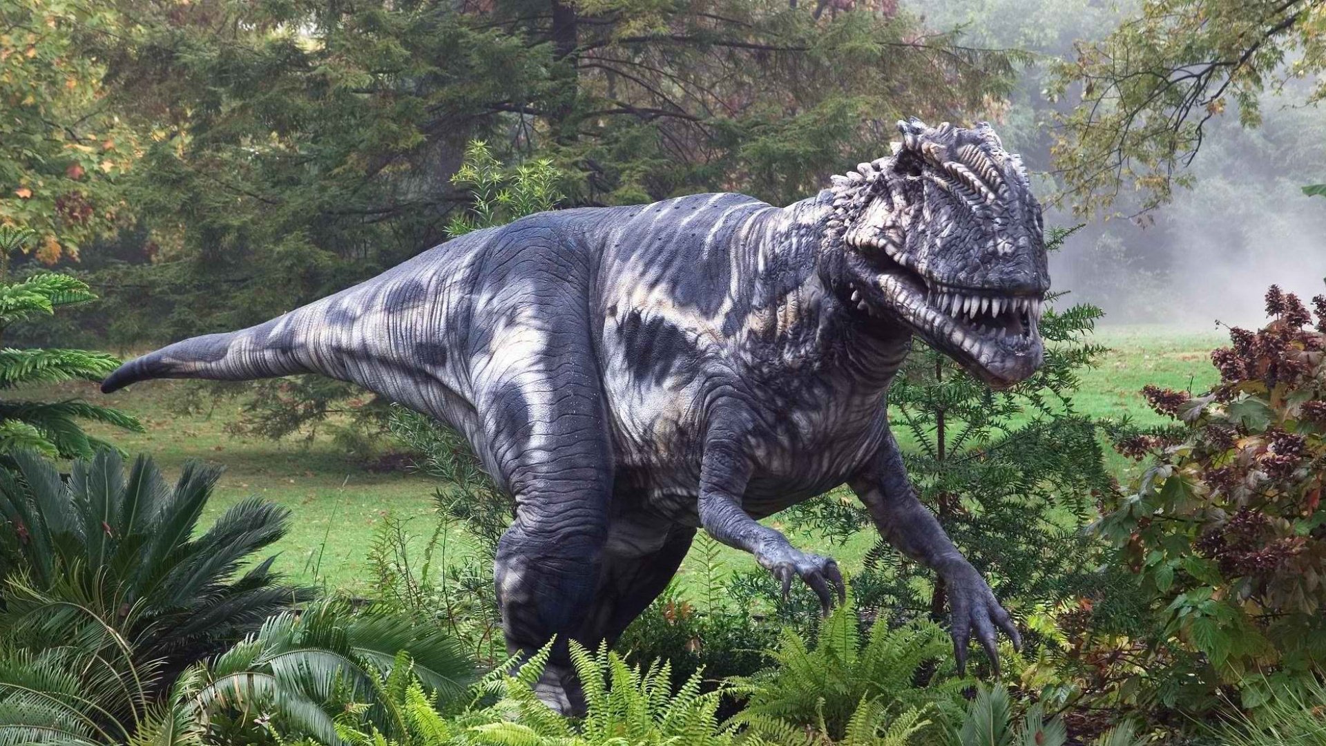 indominus rex fond d'écran,dinosaure,tyrannosaure,animal terrestre,velociraptor,faune