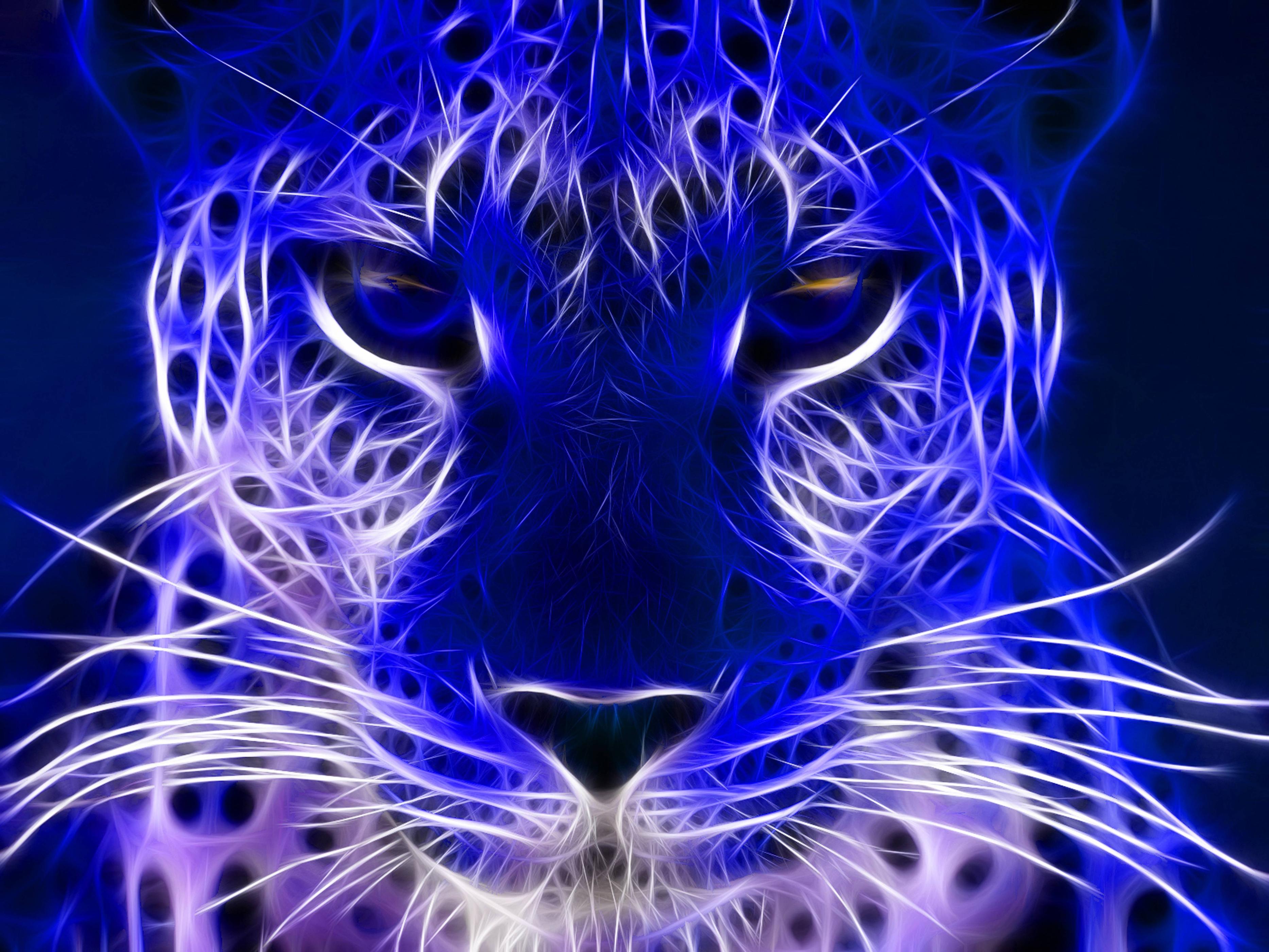 fondo de pantalla eléctrico hd,felidae,azul,azul eléctrico,arte fractal,bigotes